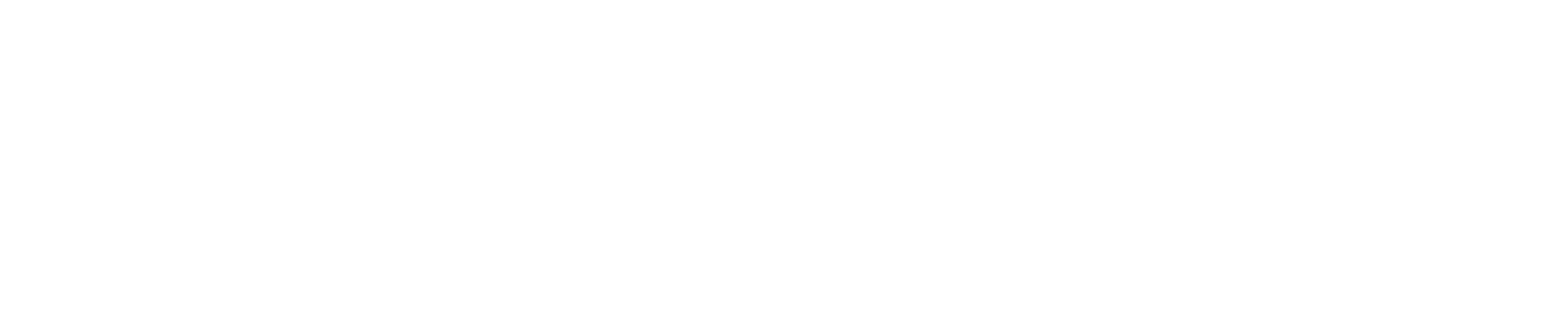 Flawless Brand Shop Logo